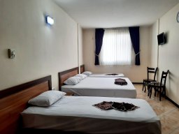 هتل فرزانگان رضوی