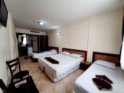 هتل فرزانگان رضوی