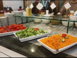 هتل مدینه الرضا